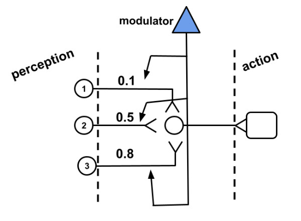 Fig 1. We add a modulator to modulate the influence of neurons over the motor neuron.