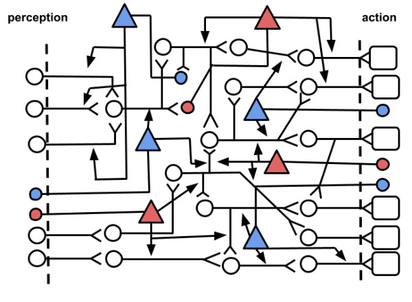 Fig. 3. A more complex neural network.