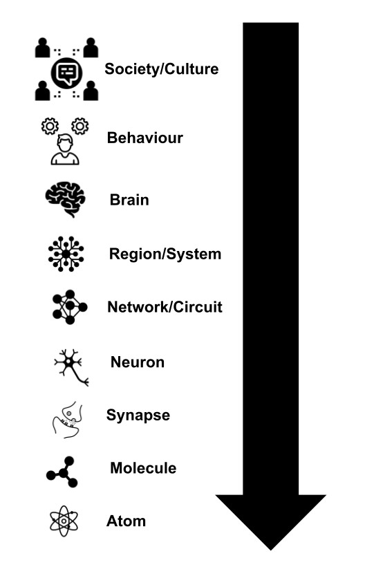 Fig. 9. Levels of abstraction or analysis: what is the best level to study phenomenon X?