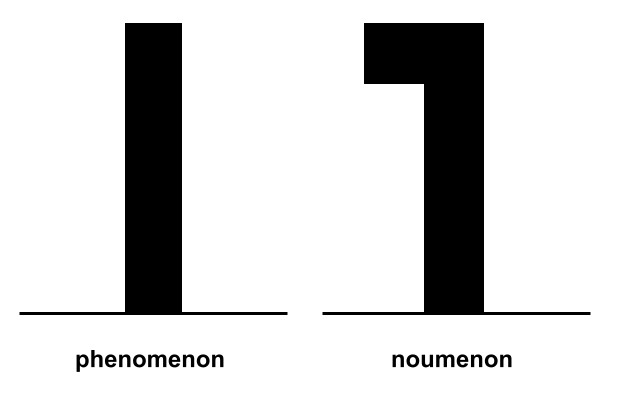 the noumena vs the phenomena